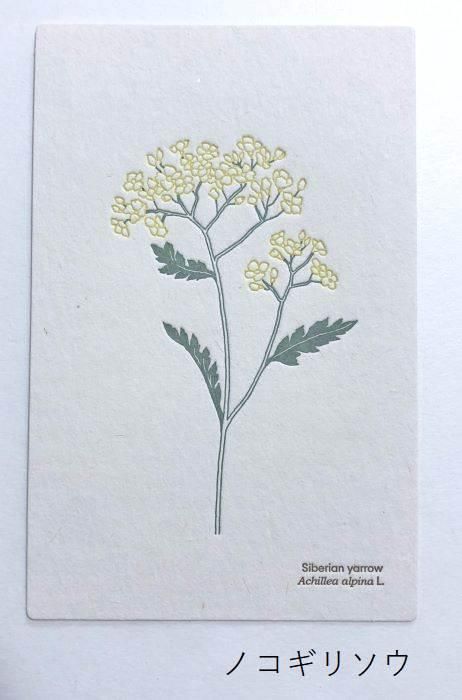 HUTTE PAPER WORKS】活版印刷のポストカード6 - hina®～盛岡の雑貨店