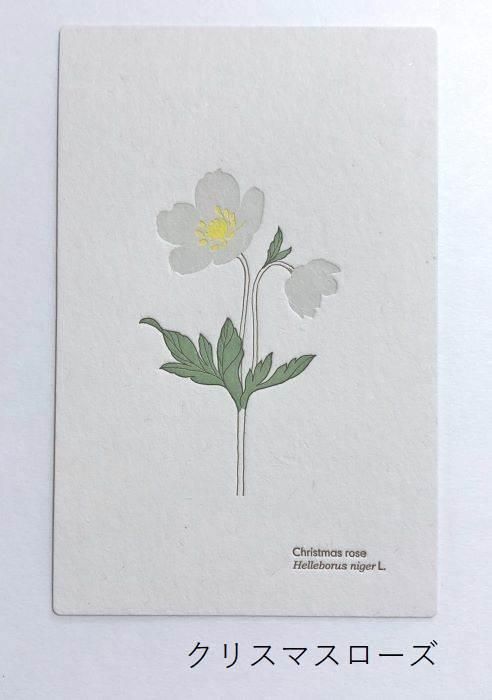 HUTTE PAPER WORKS】活版印刷のポストカード6 - hina®～盛岡の雑貨店