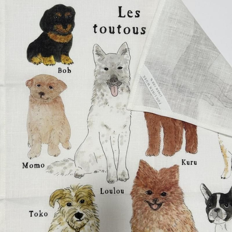 fog linen work2026ͥ󥫥/٥롦ܥΡʤ襤󤿤ˤβ