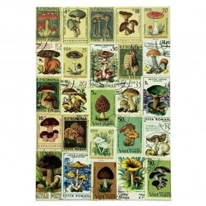 <img class='new_mark_img1' src='https://img.shop-pro.jp/img/new/icons52.gif' style='border:none;display:inline;margin:0px;padding:0px;width:auto;' />ΥץݥȥĎ Υ