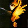Terence Trent D'Arby _ Neither Fish Nor Flesh _ CO[͢LP/R&B ,POP]