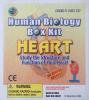 human biology box kit heart [GOODS]