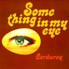 Corduroy _ Something In My Eye _ Acid Jazz[͢12