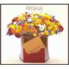 Prisma _ Prisma _ Libyus Music[⿷CD]