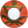 Richie Spice[åѥ] - Coming Home -  Weeded Recordings[͢7