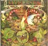 Spyro Gyra - Morning Dance - Infinity[LP/FUSION,JAZZ]