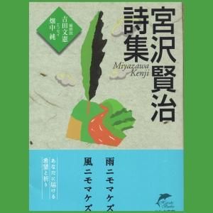 宮沢賢治 詩集 ハルキ文庫 国内中古本 Jar Beatrecord ジャービートレコード 宮沢賢治 詩集 ハルキ文庫 国内中古本 Jar Beatrecord ジャービートレコード