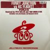 KC Flightt Vs. Funky Junction - Voices - 	Jellybean - ͢12