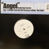 Shaggy Feat.Rayvon - Angel - MCA - 輸入中古12”