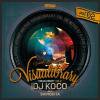 DJ KOCO aka SHIMOKITA / TRIUMPH RECORDS PRESENTS - VISUALIBRARY VOL.2[⿷DVD]