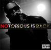 KNZZ _ NOTORIOUS IS BACK! [⿷CD]