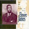 Elmore James _ The Sky Is Crying ;The History of Elmore James[͢CD]