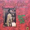 Hound Dog Taylor _ Be Ware of the Dog! [͢CD / BLUES ]