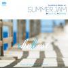 HIPRODJ _ ALCOHOLIC MUSIC ver. SUMMER JAM THE BEST -2CD-[ MIX]