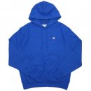 Champion Life Reverse Weave Pullover Hoodie / Surf The Web