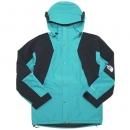 The North Face 1994 Retro Mountain Light Futurelight Jacket / Jaiden Green