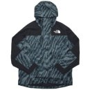 The North Face Printed K2RM DryVent Jacket / Balsam Green Wooden Tiger Print