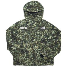 The North Face GTX Mountain Jacket / Misty Sage Fallen Leaves Print