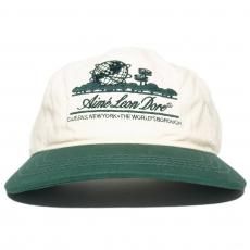 Aime Leon Dore Unisphere Snapback Cap / Cream x Green