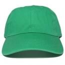 Newhattan 6 Panel Baseball Cap / Kelly Green