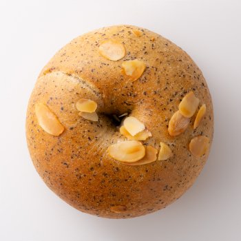 商品検索 - vanitoy bagel