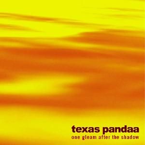 <img class='new_mark_img1' src='https://img.shop-pro.jp/img/new/icons50.gif' style='border:none;display:inline;margin:0px;padding:0px;width:auto;' />texas pandaa / one gleam after the shadow
