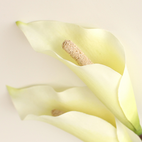 カラーの髪飾り（白） - airaka｜花飾りのアトリエ