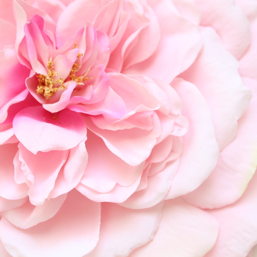 アーティフィシャルフラワー(造花)のバラのラウンドプラトー（ピンク）_airaka