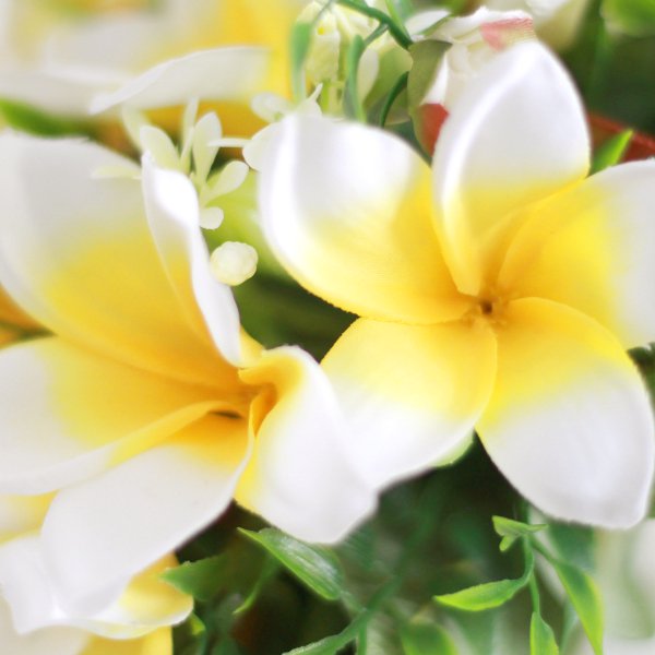 アーティフィシャルフラワー(造花)のプルメリアのクラッチブーケと花冠のセット(白黄)_airaka