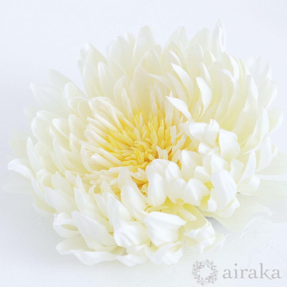 白鞠菊の髪飾り Airaka 花飾りのアトリエ