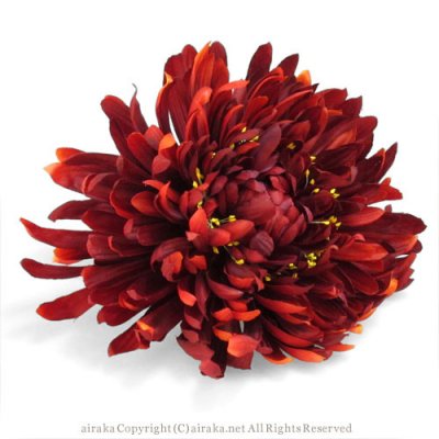 舞花菊の髪飾り 赤 Airaka 花飾りのアトリエ