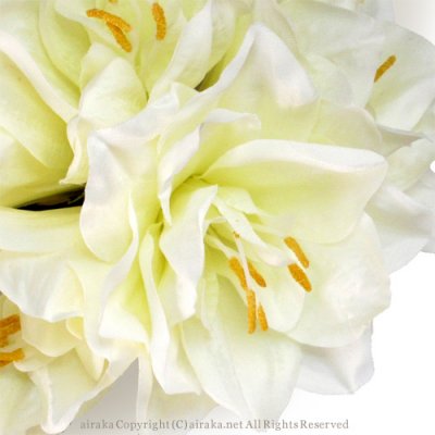 アマリリスの髪飾り 白 Airaka 花飾りのアトリエ