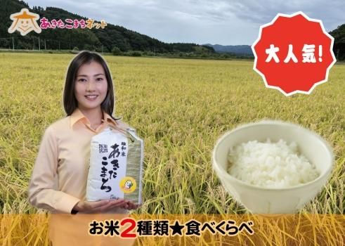 秋田市雄和産あきたこまち無洗米3キロ【令和5年産】 - 米通販