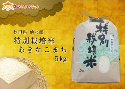 仙北産あきたこまち特別栽培米5キロ【令和6年産】 - 米通販 仙北産あきたこまち特別栽培米5キロ【令和6年産】 - 米通販