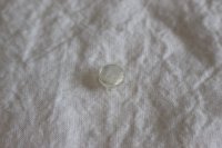 カピスシェルボタン１１．５mm（ホワイト）