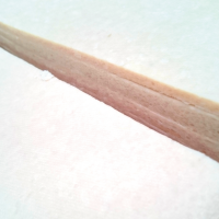 ͽߤο1kgˡ11Ǥȯ<img class='new_mark_img2' src='https://img.shop-pro.jp/img/new/icons15.gif' style='border:none;display:inline;margin:0px;padding:0px;width:auto;' />