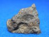 コラ隕石