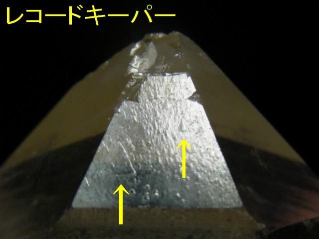 カンチェンジュンガ産 ヒマラヤ水晶 レコードキーパー、大きい カンチェンジュンガ産 ヒマラヤ水晶 レコードキーパー、大きい