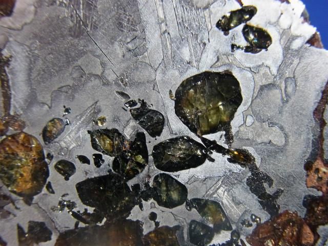 26202010435_1.jpg