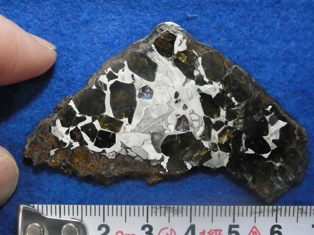 鉄隕石 Dronino(ドロニノ) 鉄隕石 I719 61g - 鉱物標本・隕石標本販売のWeb