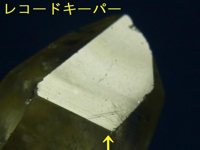 ガネーシュヒマール産ヒマラヤ水晶 クローライト、レコード