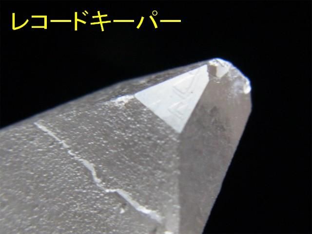 レムリアンシード レコードキーパー、初期採掘品 - 水晶専門店