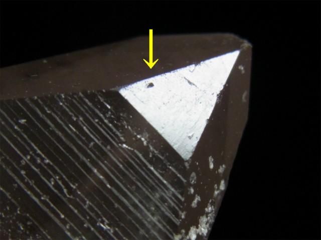 希少‼️レコードキーパー入り‼️レムリアンシード 卸売り家具・インテリア - 希少‼️レコードキーパー入り‼️レムリアン