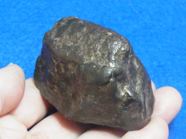 石質隕石（コンドライト ＮＷＡ） - 水晶専門店 EXークリスタル