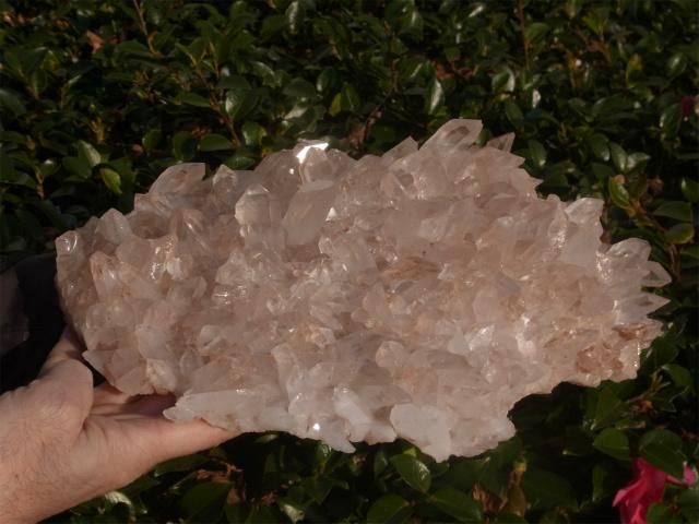 マニカラン産ヒマラヤ水晶大型ピンククラスター イシス、左右水晶