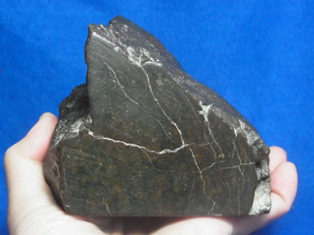 コンドライト隕石 ブレスレット 13.5mm玉 内径17.5cm k515 - ブレスレット