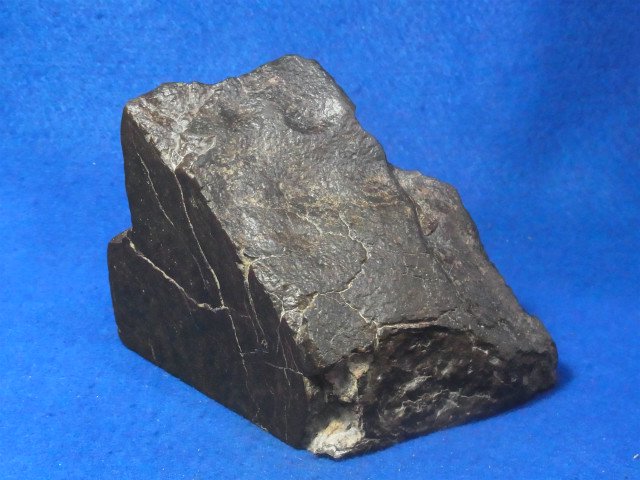 大型石質隕石（コンドライト　ＮＷＡ）レグマグリプツ - 水晶専門店 EXークリスタル