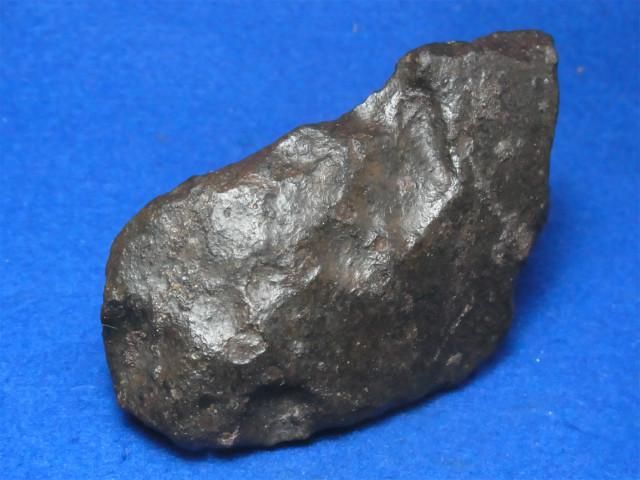 自然石 隕石 NWA 7831 石質隕石 827 14.13g - 鉱物標本・隕石標本販売のWeb