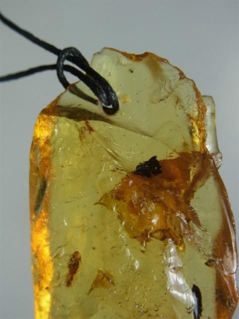 虫入りナチュラルコパル 虫入りナチュラルコパル 珍しいコロンビア産！多数の虫を内包