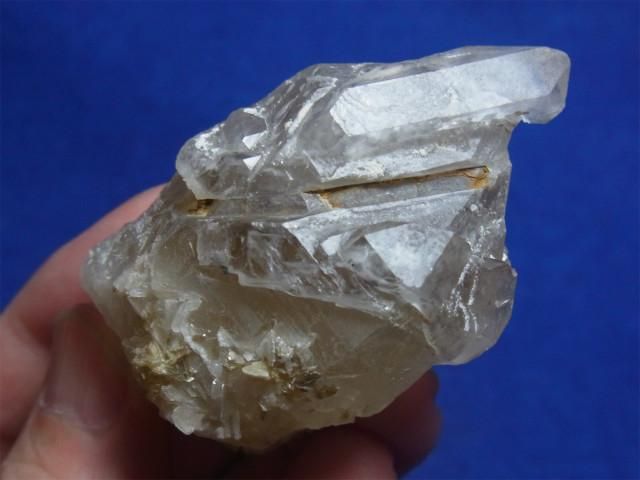 エレスチャル リバースセプター・冠水晶 - 水晶専門店 EX